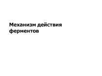 Механизм действия ферментов 