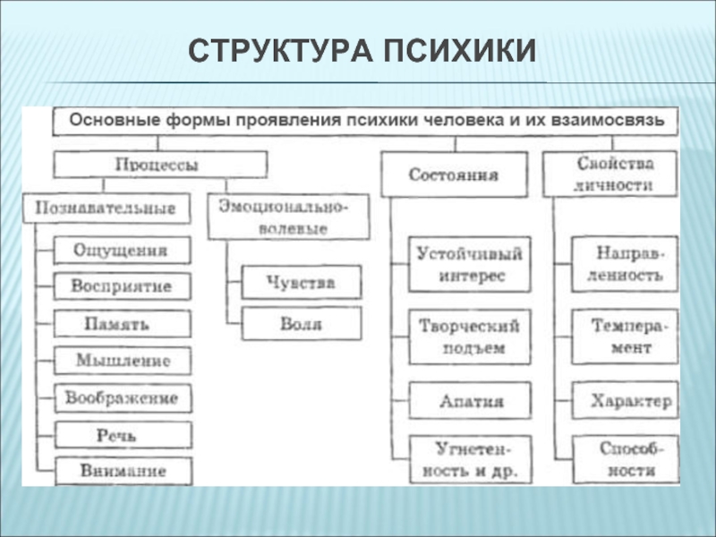 Структура психических явлений. Структура психики схема. Структура психических процессов схема. Структура психики человека таблица. Строение психики человека схема.