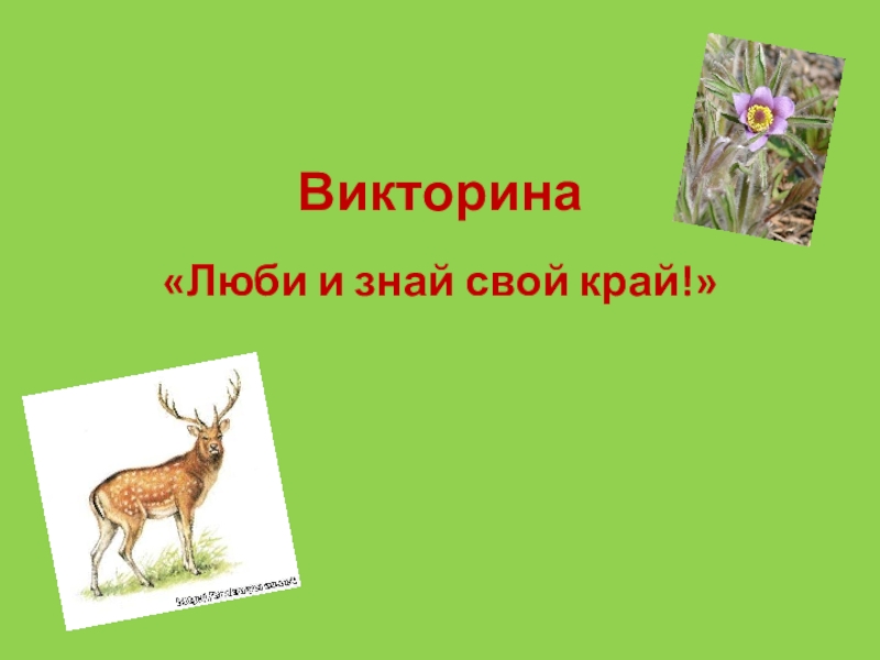 Атлас люби и знай свой край. Знай и люби свой край викторина. Люби и знай свой край. Рисунок - викторина люби и знай свой край. Люби и знай свой край картинки.