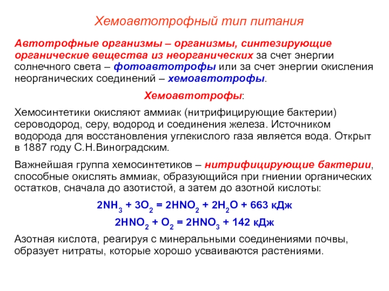 За счет энергии. Хемоавтотрофы. Хемоавтотрофное питание. Организмы осуществляющие Синтез органических веществ за счет. Хемоавтотрофы бактерии.