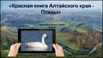 Красная книга Алтайского края - Птицы 2 класс