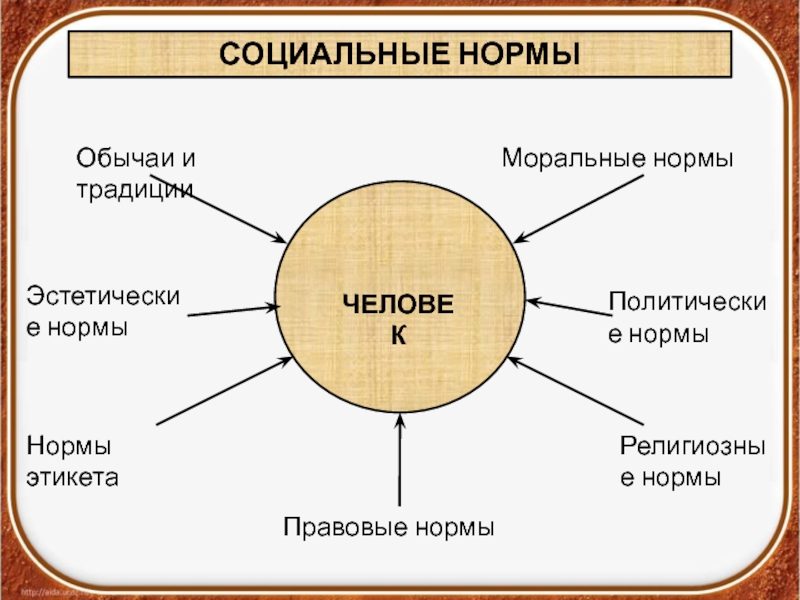 Задания по теме социальные нормы. Нормы этикета социальные нормы. Социальные нормы обычаи. Социальные нормы правила этикета и традиции. Социальные нормы картинки.