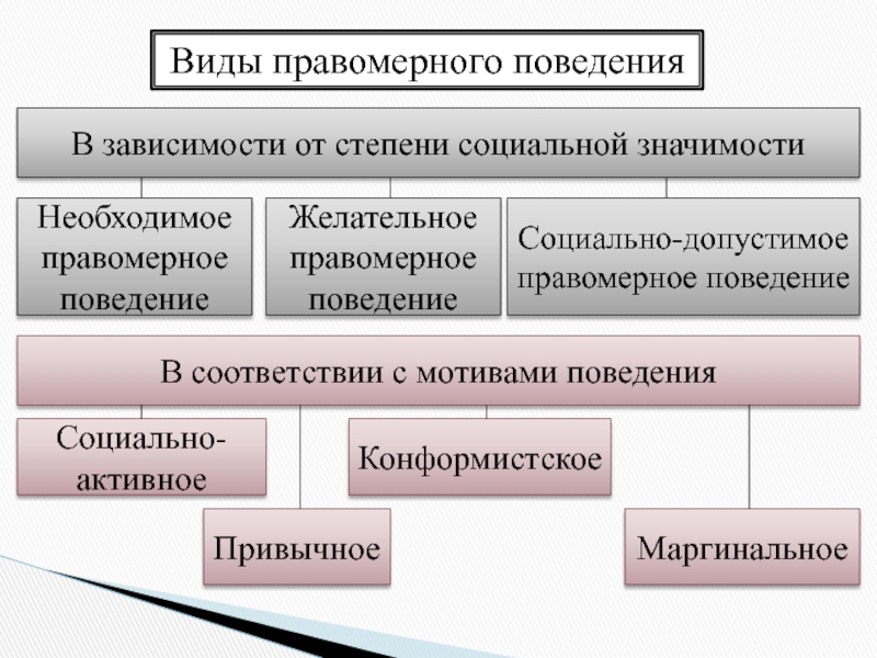 Правомерное поведение презентация