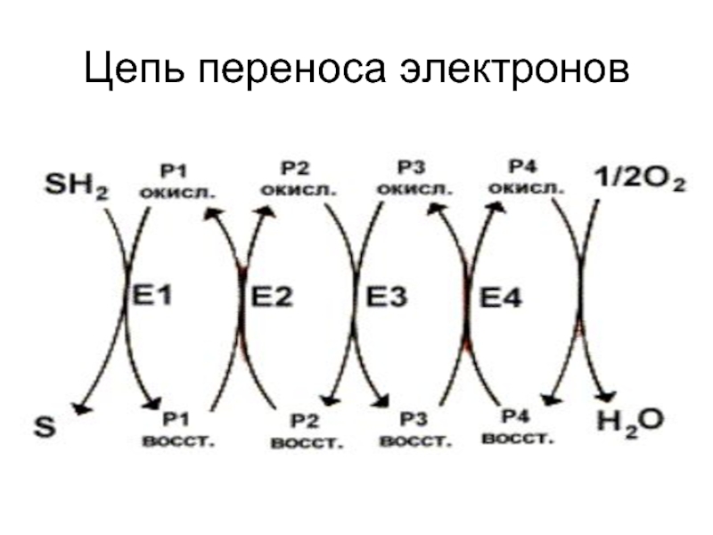 Процесс перехода шести электронов отражает схема s 2 s 6