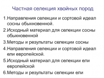 Частная селекция хвойных