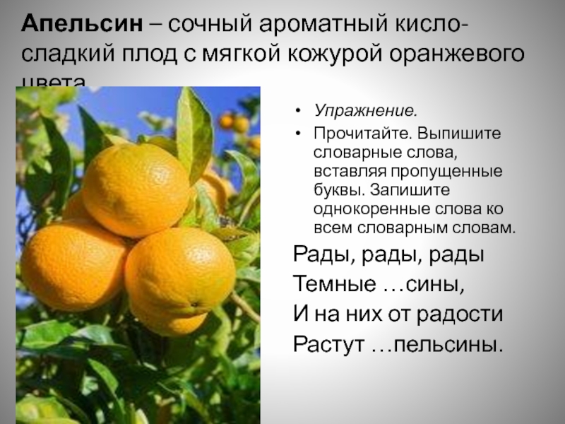 Апельсин новые слова. Однокоренные слова апельсин. Предложение про апельсин. Описание апельсина. Однокоренные слова к слову апельсин.