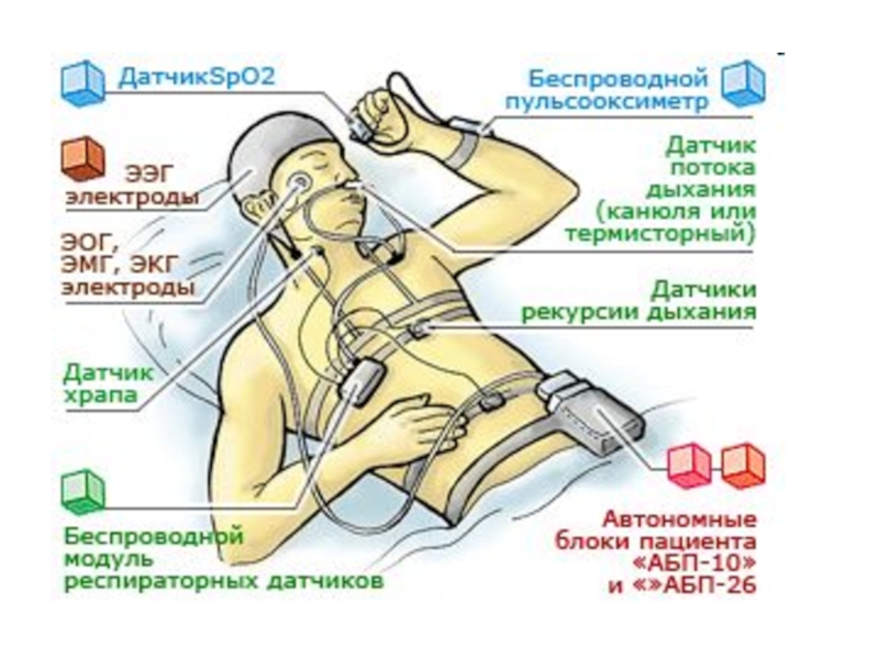 Полисомнография. Полисомнографическое исследование. Полисомнография показания. Исследование полисомнография.