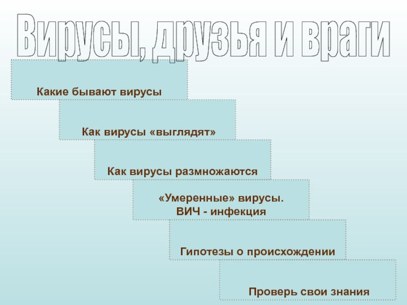 Какие бывают вирусы
Как вирусы выглядят
Как вирусы размножаются
Умеренные