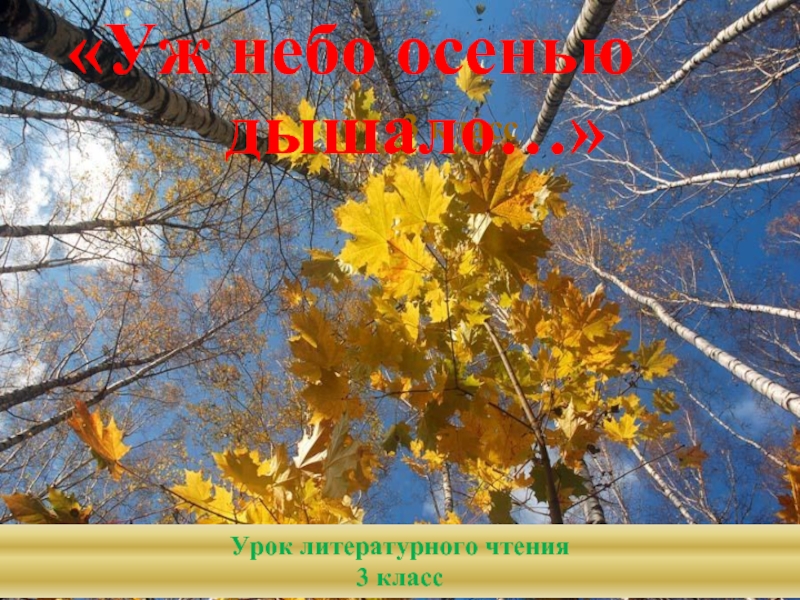 Презентация Пушкин «Уж небо осенью дышало»