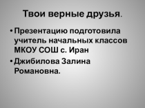 твои верные друзья