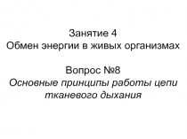 Занятие 4
Обмен энергии в живых организмах
Вопрос № 8
Основные принципы работы