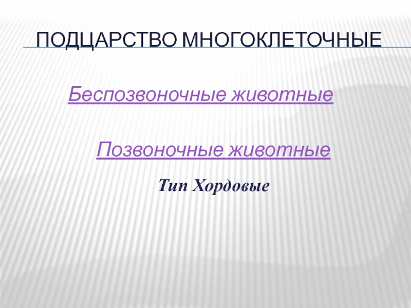 Подцарство многоклеточные беспозвоночные животные 5 класс презентация пасечник