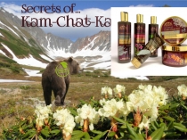 Презентация SECRETS of Kam-Chat-Ka