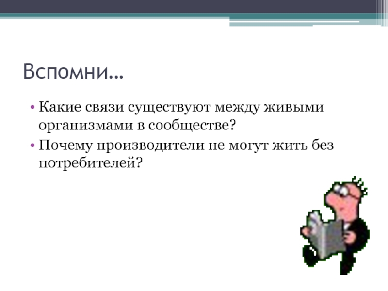 Почему производители. Какие связи существуют. Какие связи есть между живыми организмами. Какая связь. Какая взаимосвязь существует между традициями и.