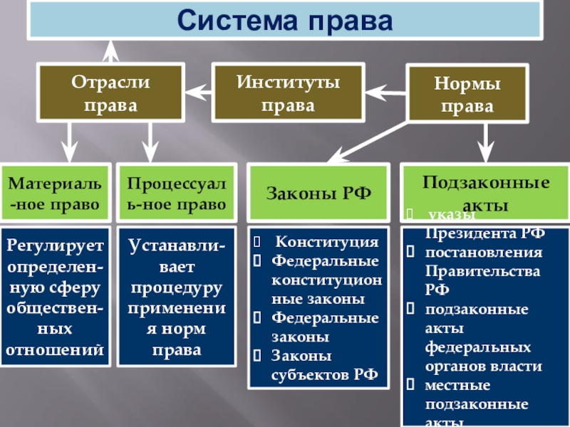 Рассмотрите фотографию какая отрасль российского права