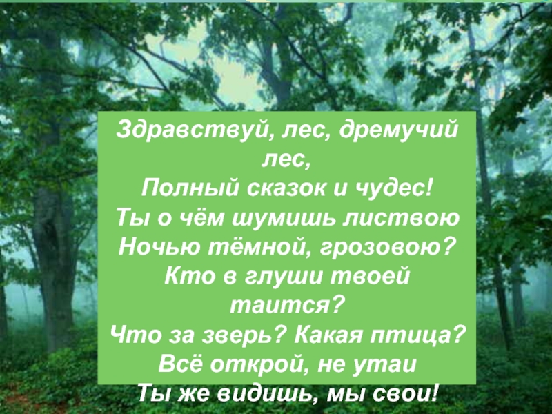 Здравствуй лес дремучий лес полный сказок и чудес. Слово лес. Лес это серьезно. Учение о лесе.