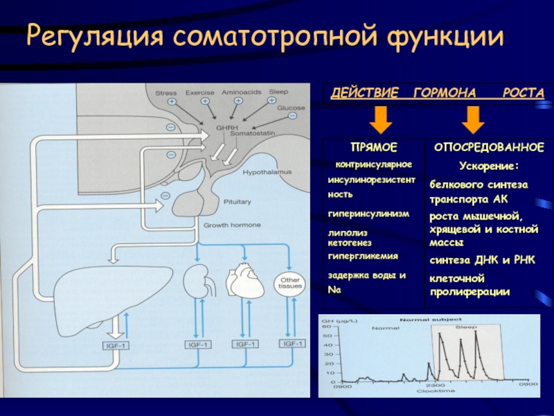 Синтез транспорт