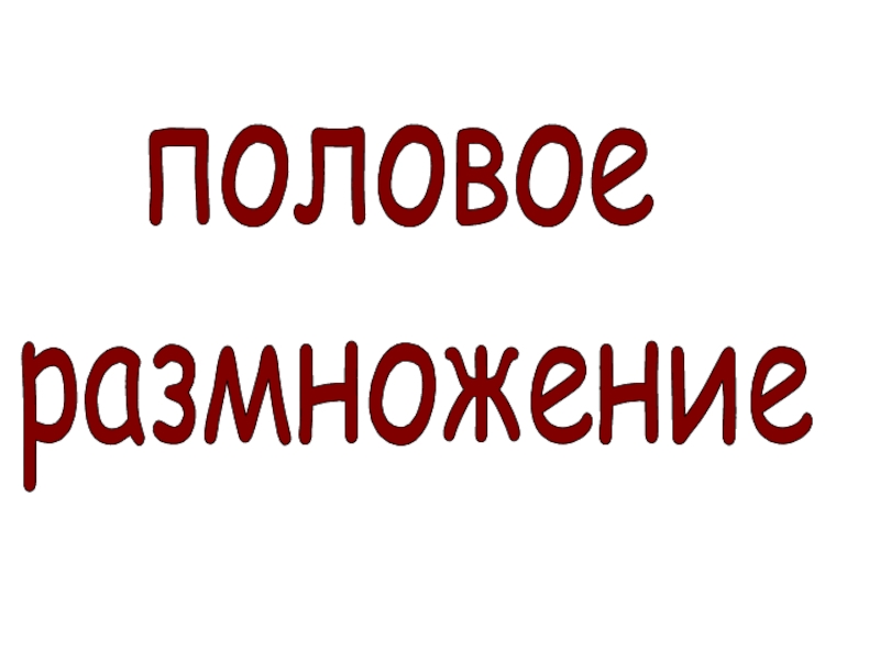 Презентация половое
размножение