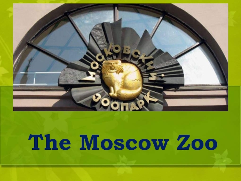 Презентация The Moscow Zoo
