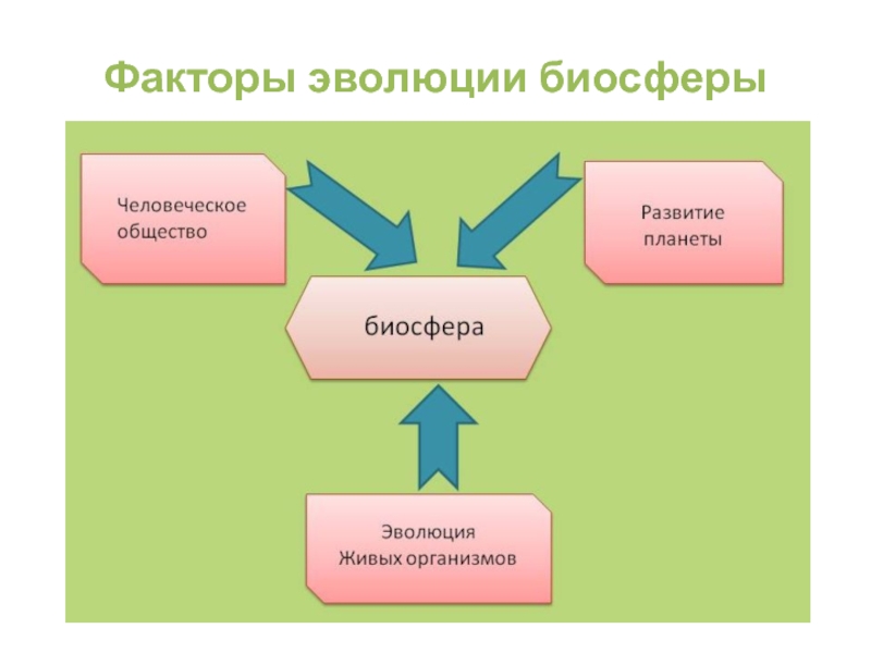 Эволюция биосферы презентация 11 класс биология