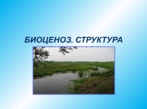 Биоценоз. Структура биоценоза