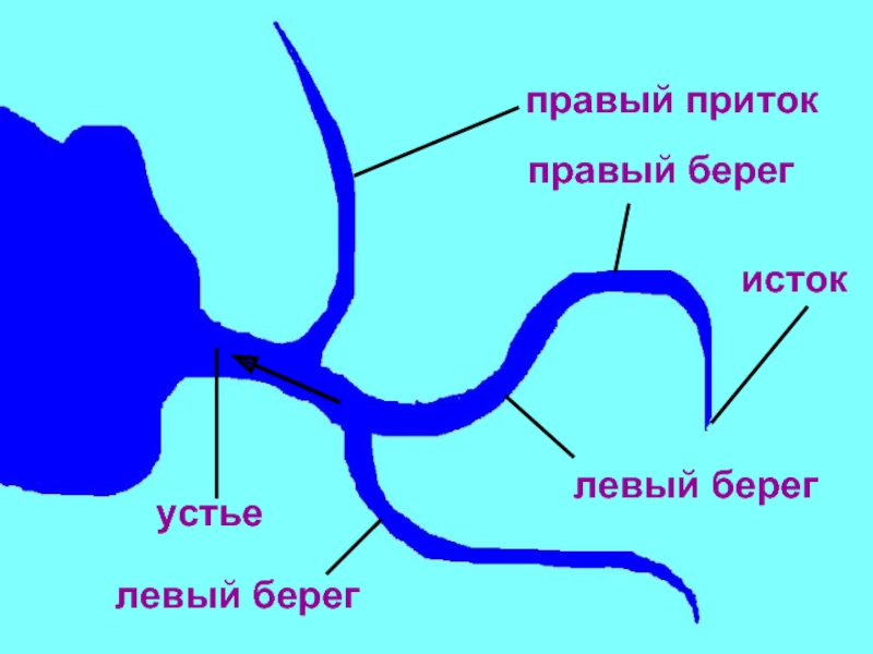 Подпиши на схеме исток и устье. Исток левый берег правый берег Устье. Исток Устье правый и левый берега. Устье Исток приток. Исток Устье берега это.