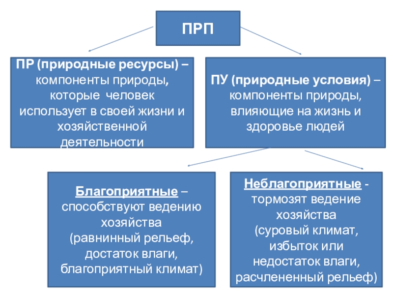 Природные ресурсы 9 класс биология презентация