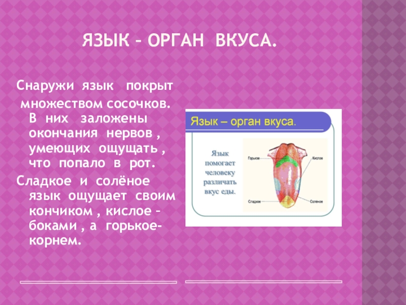 Соленый язык. Солёный язык. Солёный язык учить. Снаружи язык покрыт множеством. Правила соленого языка.