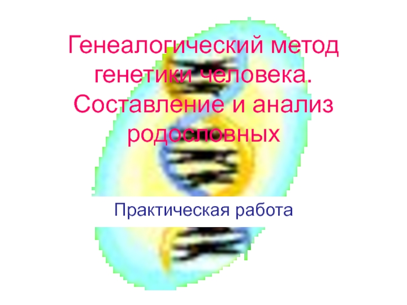 Презентация Генеалогический метод генетики человека. Составление и анализ родословных