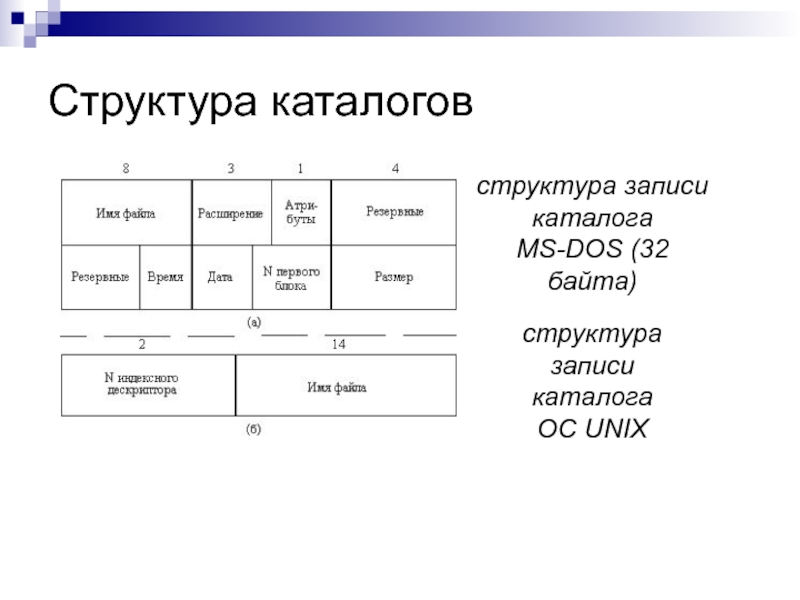 Структура записи. Структура каталогов. Структура MS dos. Структура каталогов ОС. Пример структуры каталога.