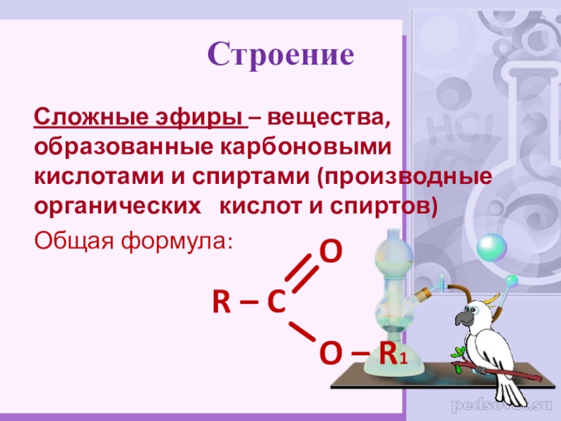 Презентация на тему сложные эфиры по химии 10 класс