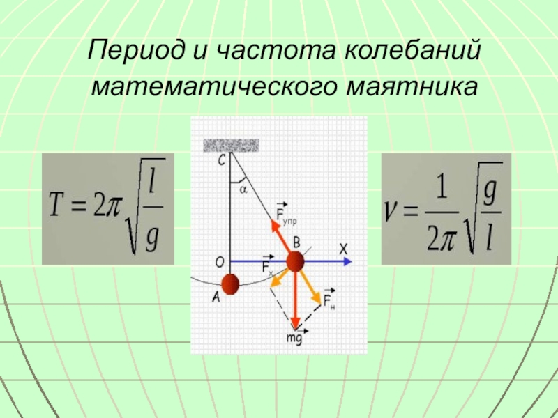 Формула колебаний математического маятника.