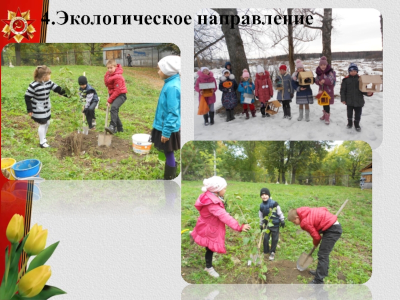 Экологическое направление. Направления экологического воспитания патриотическое.