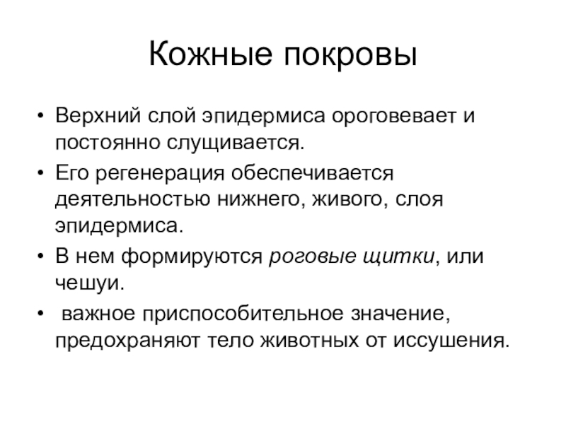 Живой слой. Особенности эпидермиса рептилий. Ороговевающие покровы тела.