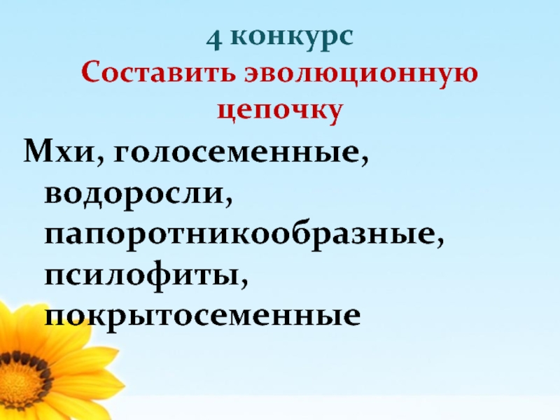 Составляющие конкурса. Голосеменные цветковые Папоротникообразные псилофиты водоросли. Покрытосеменные и Папоротникообразные растения. Составляющая эволюционной цепи. Эволюционную цепочку водоросли.