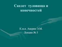Скелет туловища и конечностей