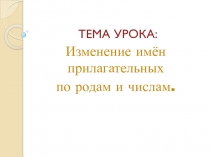 Изменение имён прилагательных по родам и числам