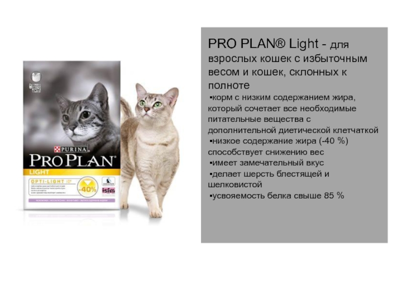 Pro plan пропал. Pro Plan Light. Pro Plan Light для кошек с избыточным весом вид крокета. Pro Plan реклама. Стенды Pro Plan.
