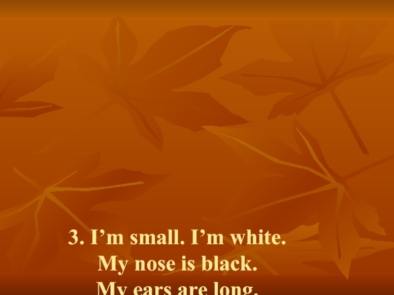 3. I’m small. I’m white. My nose is black.