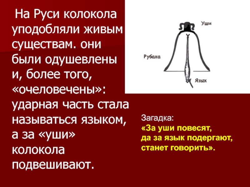 На Руси колокола уподобляли живым существам. они были одушевлены и, более того, «очеловечены»: ударная часть стала называться