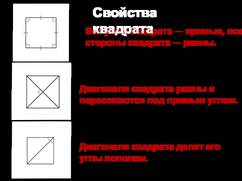 Диагонали квадрата пересекаются под прямым