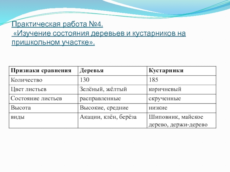 Практическая работа 2 изучения свойств