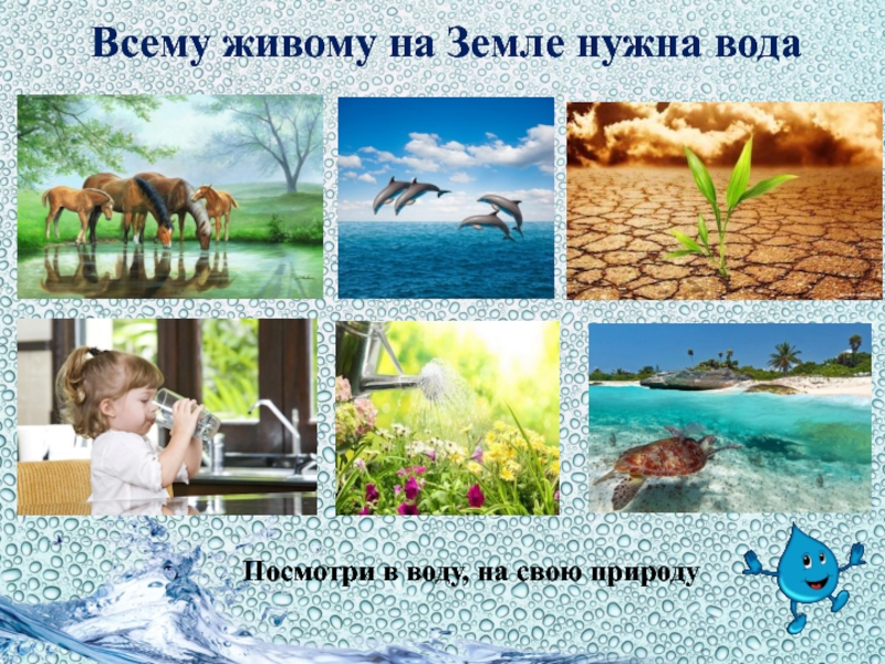 Нужна вода 4. Всему живому нужна вода. Кому нужна вода. Вода нужна всему живому на земле. Зачем нужна вода.