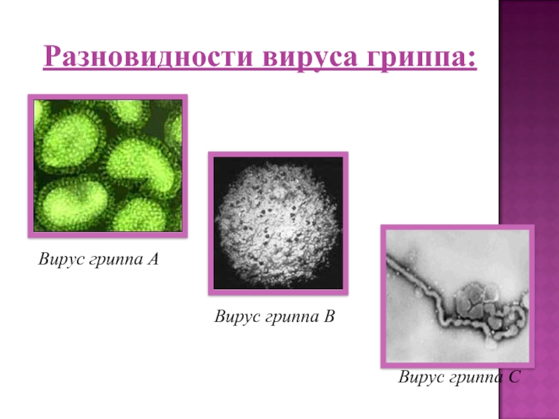 Грипп вирус а. Грипп группы а. Вирус гриппа клиника. Виды вирусов у детей. Три типа гриппа.