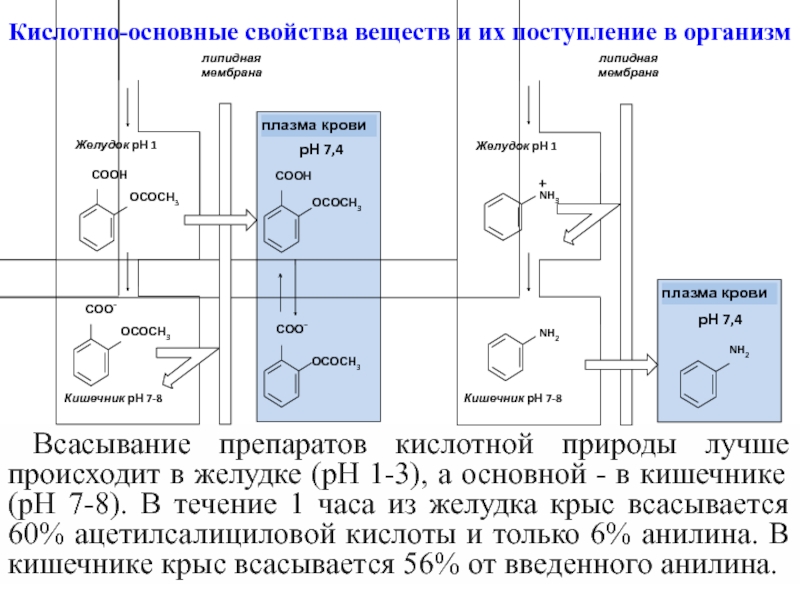 Биоорганическая химия в таблицах и схемах