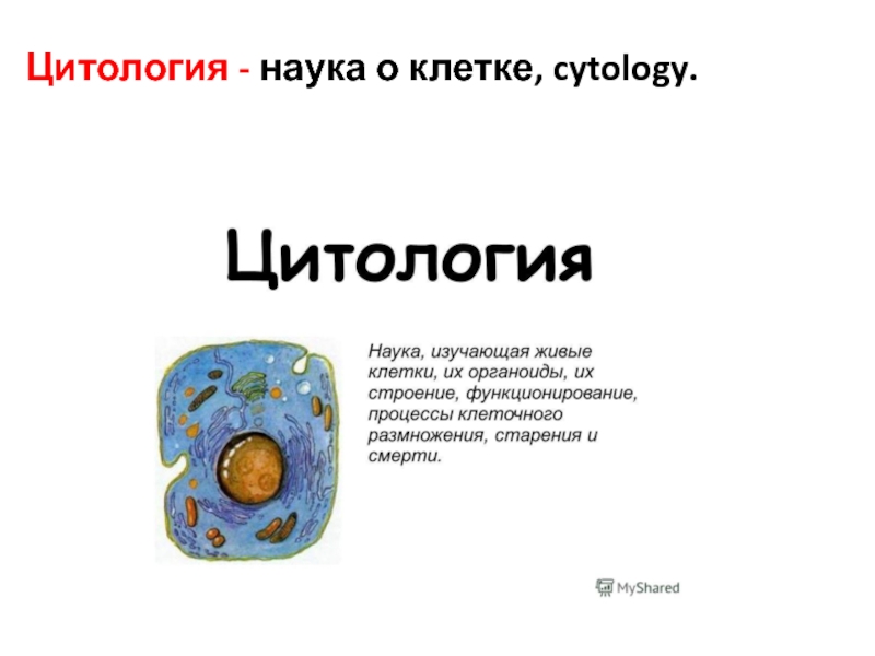 Цитология - наука о клетке, cytology