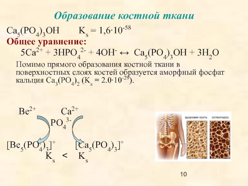 Реакция в тканях. Хим реакции образования костной ткани. Уравнение образования костной ткани. Реакции формирования костной ткани. Реакция лежащая в основе образования костной ткани.