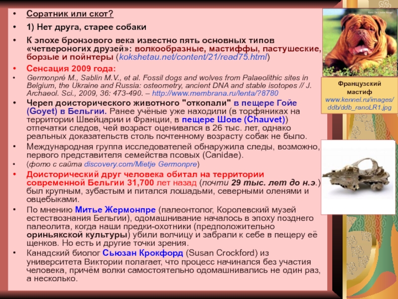 История и методология биологии Соратник или скот?1) Нет друга, старее собакиК эпохе бронзового века известно Соратник или скот?1) Нет друга, старее собакиК эпохе бронзового века известно пять основных типов «четвероногих друзей»: волкообразные,