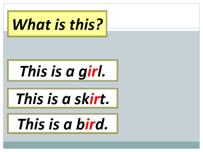 What is this? This is a skirt.This is a girl.This is a bird.