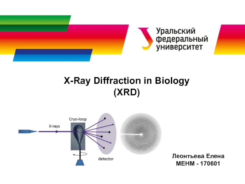 Леонтьева Елена
МЕНМ - 170601
X-Ray Diffraction in Biology
(XRD)